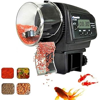 Amazon Com Fish Feeder Automatic Fish Feeder Ebotrade Aquarium