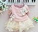 Baby Girls Dresses Long Sleeve Crochet Sweater Tops Lace Bowknot Tutu Clothing (12-18 Months, Pink)
