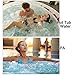 HaRuion Mineral Sanitizer,SPA Stick,Destroy Bacteria, Reduce Odors,Sanitize SPA or Hot Tub Water with The Power of Minerals Fits Home,Hotel,Swimming Pool, Bathtub Cleaning