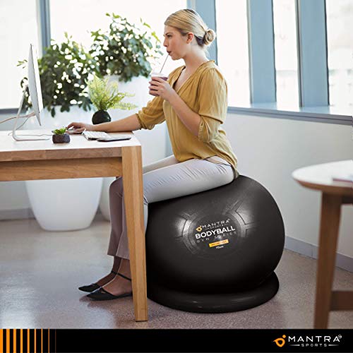 1 Exercise+Ball+Chair+Stability+Resistance