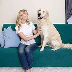 SUBRTEX Stretch Sofa Slipcover 1 Piece Sofa Covers