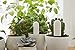 HHCC Xiaomi 4 in 1 Plant Flower Care Smart Monitor, White