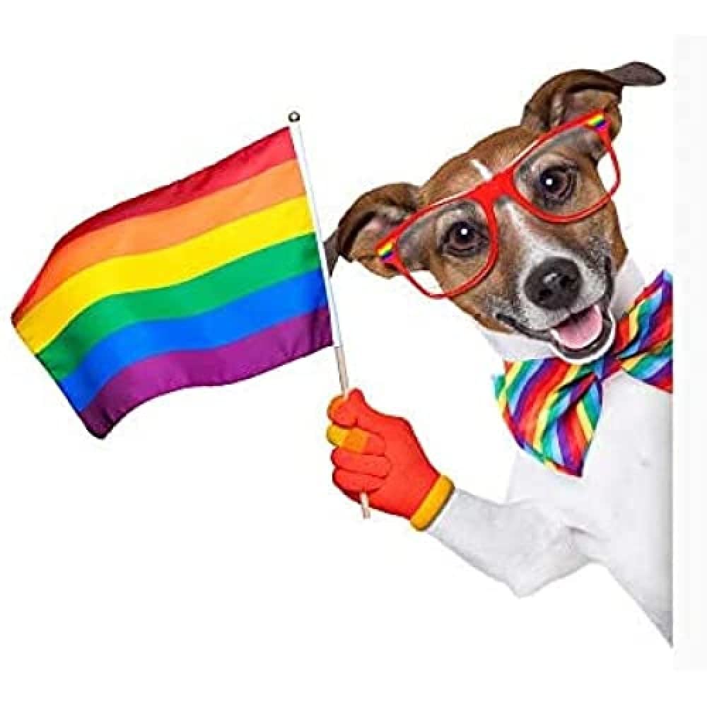 Jack Russell Gay Pride Art Print Canvas Premium Wall Decor Poster