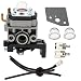 Hilom Carburetor Carb for Honda GX25 GX25N GX25NT FG110 FG110K1 HHT25S 4 Cycle Engine Replaces 16100-Z0H-825