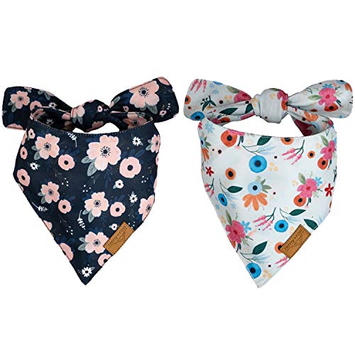 Remy+Roo Dog Bandanas 2 Pack Irene Set Premium Durable Fabric