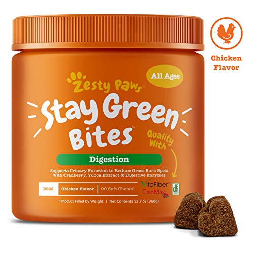 Zesty Paws Stay Green Bites for Dogs - Grass Burn Soft Chews for Lawn Spots Caused by Dog Urine - Cran-Max Cranberry for Urinary Tract & Bladder - with Apple Cider Vinegar + Digestive Enzymes - 90 Ct
