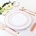 9 oz Rose Gold Rimmed Plastic Cups Clear Plastic Tumblers - Disposable Hard Party Wedding Plastic Cups 60 Pack-WDF (Cups)