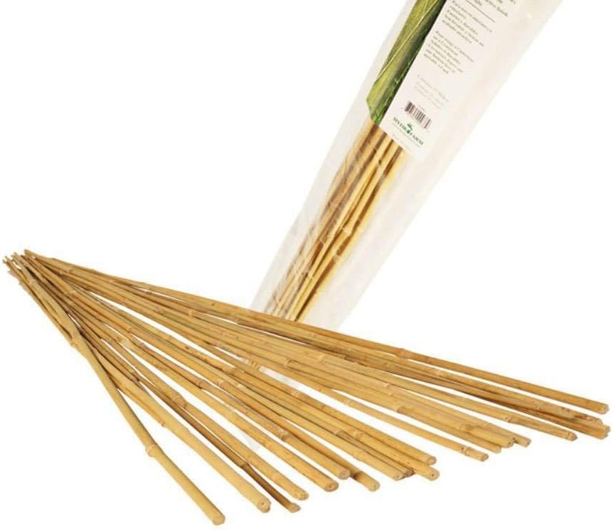 Hydrofarm HGBB4 4' Natural, Pack of 25 Bamboo Stake, 4 foot, Tan : Garden Stakes : Garden & Outdoor