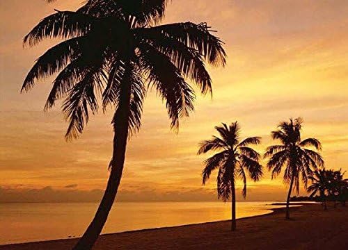 Huge Photo Wall Mural 12 Feet 6 Inch Wide X 9 Feet High Covers An Entire Wall! Tropical Beaches, Waterfalls, Mountains, Nature (Island Sunset Wall Mural)