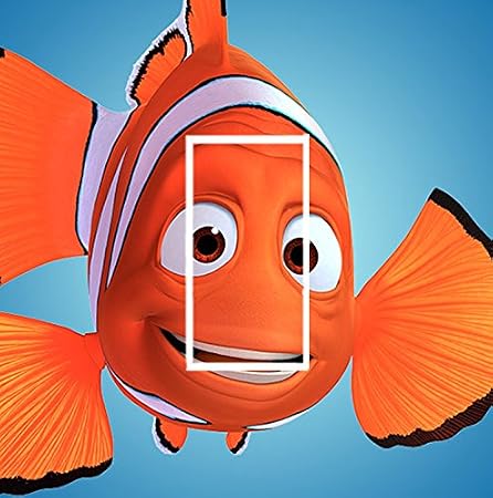 nemo switch
