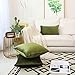 Home Brilliant Green Spring Pillow Covers 18x18 Velvet Throw Pillow Covers Decorative Throw Pillows for Couch Party Decor, 45 x 45cm(18 x 18 inches), Avocado Green