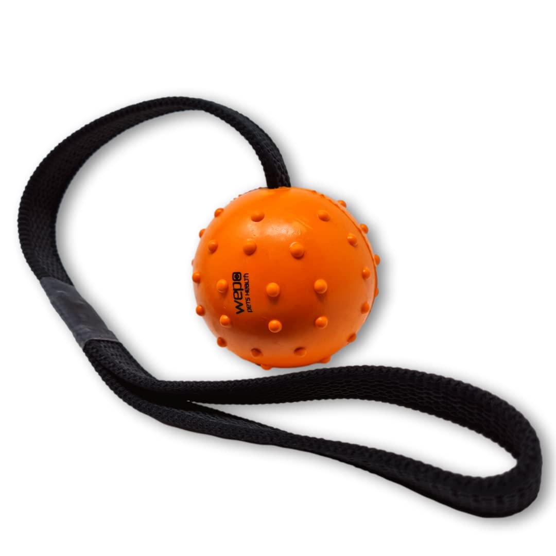 Wepo, dog toy, natural rubber ball with rope, lightweight spinner ball, ideal for puppy dog, toy on a rope, 7 cm