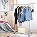 Auledio Clothes Garment Rack, Commercial Grade Clothes Rolling Heavy Duty Storage Organizer on Wheels with Adjustable Clothing Rack, Holds up to 200 lbs, Chrome (One Head)