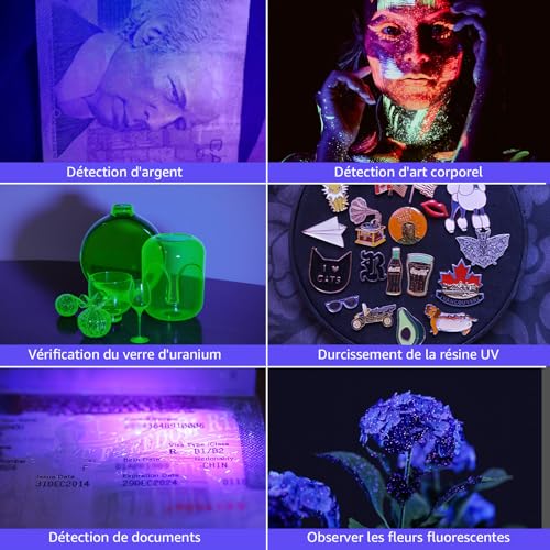 Lighting EVER Lepro UV Lamp, 395nm UV LED Black Light Ultraviolet Light, 6 AAA Batteries Included for Fluorescent Tracers Dog Cat Mat Urine Detector Scorpion Checks Money, Pack of 2