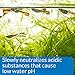 API pH UP Freshwater Aquarium Water pH Raising Solution 16-Ounce Bottle