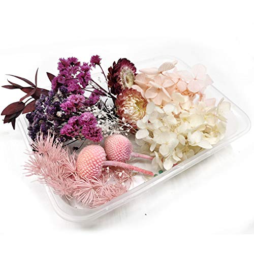Real Natural Dried Flowers for Art Craft Mixed Multiple Colorful Dried