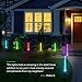 TRODEEM Solar Lights Outdoor [4 Pack, RGB 7-Color Changing] Solar Powered Decorative Garden Stakes Waterproof Acrylic LED Bubble Lighting for Garden Patio Backyard Pathway Pool Lawn Decor