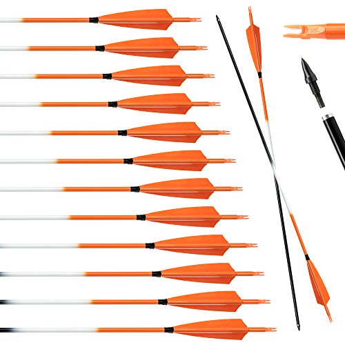 Archery sharly 31" Carbon Hunting Targeting Arrows with 5" Orange Feather Fletching for Traditional Recurve and Long Bow (12 Pack)