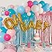 Gender Reveal Party Supplies Balloon Garland Kit - Balloon Arch Kit (Small, Big, Gold Confetti, Blue, Pink Balloons and More!), with OH BABY Foil Balloon, Tinsel Curtain, Balloon Pump, and Accessories