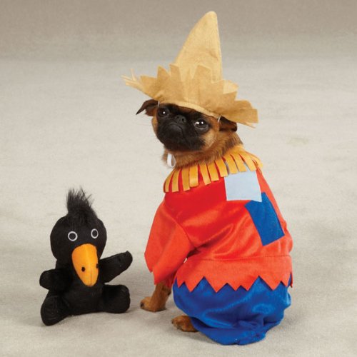 Zack & Zoey Scarecrow Pet Costume - Red