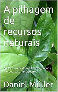 Livro A pilhagem de recursos naturais: Análise da rede de aqüíferos argentinos, Hidrovía. Vaca morta. outros (RECOPILACION EN IDIOMA EXTRANJERO)