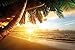 Sandy Beach at Sunset wall decoration – Paradise/ Palm Trees/ Ocean Mural-Beach Motiv – XXL wallpaper by GREAT ART 82.7 Inch x 55 Inch
