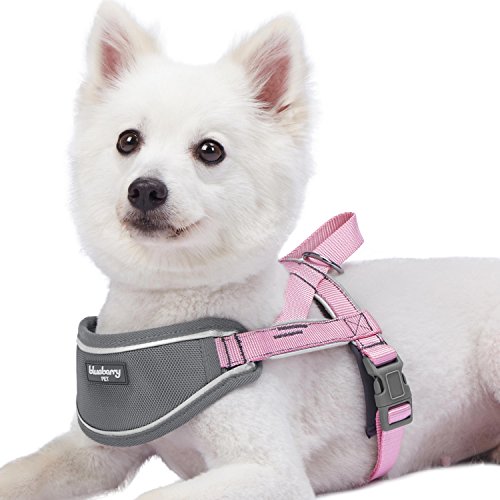 Blueberry Pet New 5 Colors Soft & Comfy 3M Reflective Strips Padded Dog Harness Vest, Chest Girth 16.5