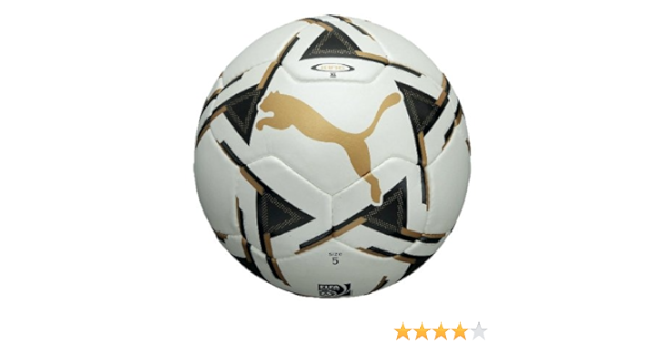 puma future 18.1 netfit