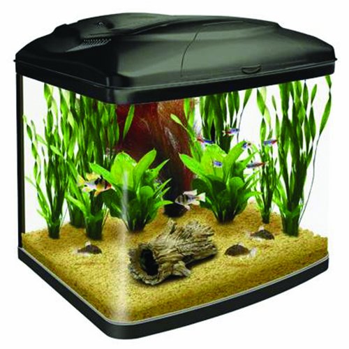 Interpet Fish Pod Glass Aquarium Fish Tank 48 L | Desertcart Brunei