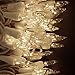 Ticoze Mini String Lights