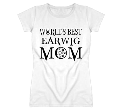 best clothing shops on amazon