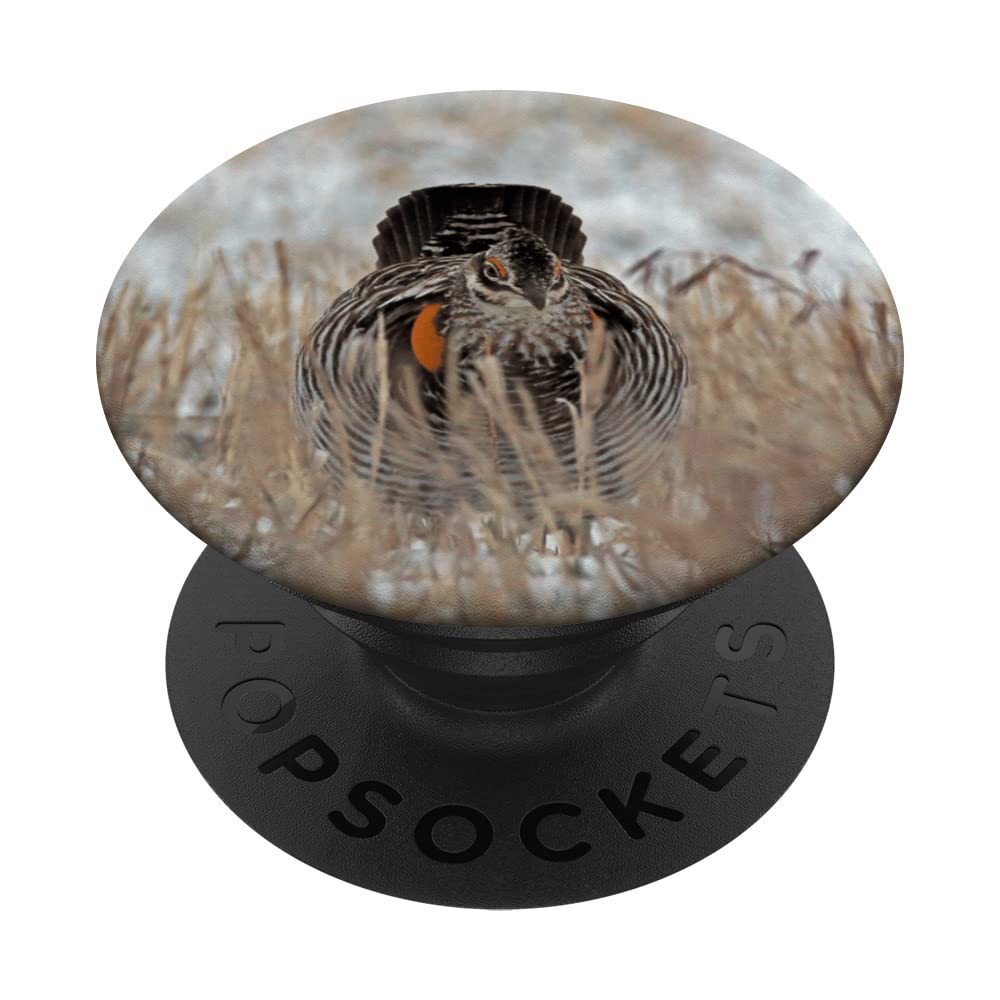 Prairie Chicken PopSockets Swappable PopGrip