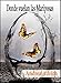 Donde vuelan las Mariposas ((Hermanos Montenegro)) (Spanish Edition)