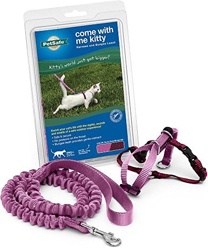 PetSafe Come With Me Kitty Harness and Bungee Leash, Kitten/Small, Dusty Rose