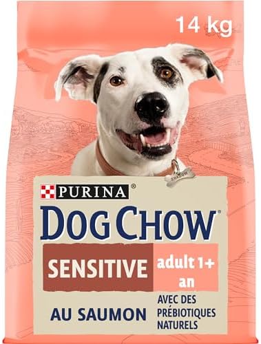 bland dog food science diet Under the Weather Easy to Digest Bland Dog Food Diet for Sick Dogs - Contains Electrolytes