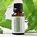 Simply Earth Peppermint Essential Oil 15 ml, 100% Pure Therapeutic Grade