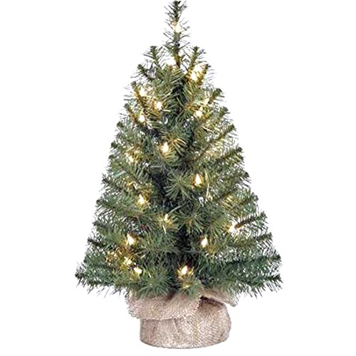Pre-Lit 2' Noble Fir