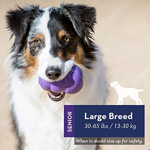 KONG Senior Dog Toy Gentle Natural Rubber Fun to Chew, Chase and