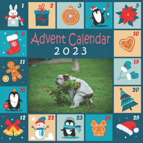 Pooping Dogs Advent Calendar 2023 25 Days Christmas Advent Calendar 