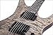 Schecter Avenger 40th Anniversary Solid-Body Electric Guitar, SLP