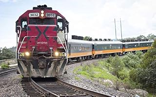 Livro O trem da vida