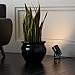 Pro Track Small Uplighting Indoor Accent Spot-Light LED Plug-in Directional Adjustable Floor Plant Home Decorative Art Desk Picture Table Living Room Interior Corner Photo Bar Black Finish 8