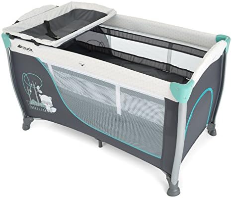 hauck sleep n play centre 2