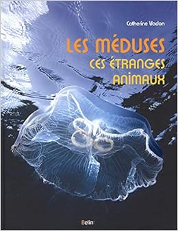 Les Méduses Ces étranges Animaux Catherine Vadon - 