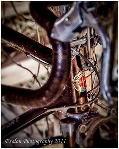 Old 1972 Schwinn Super Sport bicycle original color print brown cycling classic