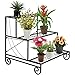 Best Choice Products 3 Tier Metal Plant Stand Decorative Planter Holder Flower Pot Shelf Rack Black