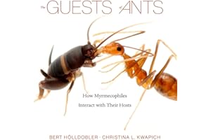 The Guests of Ants: How Myrmecophiles Interact with Their Hosts
