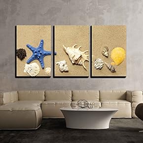 Shells and Starfish on Beach on Sand Background...