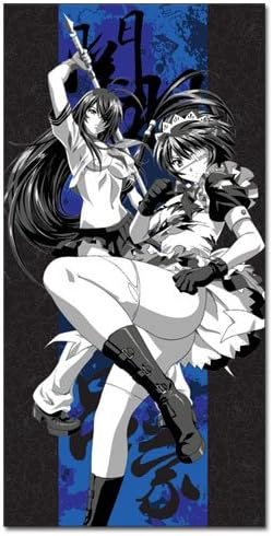 Ikki Tousen Xx - Towel