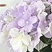Felice Arts Artificial Flowers 18